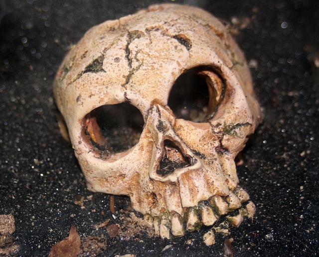 Neolithic tooth replacement in two disturbed burials from southern Egypt