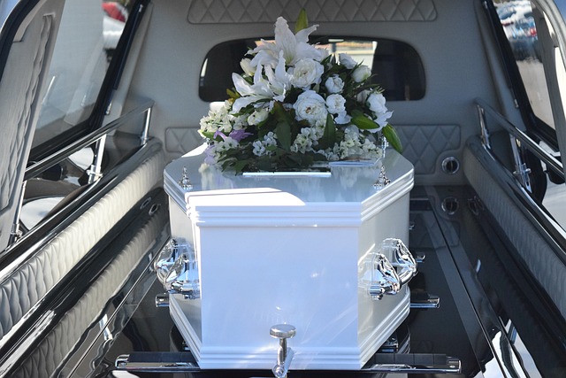 Emmanuel Levinas and the euthanasia debate