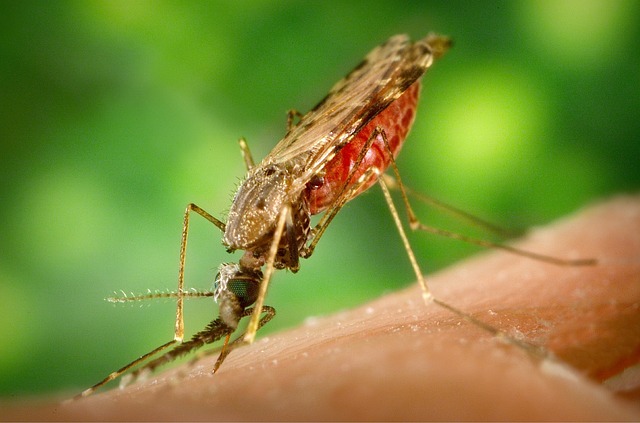 The Ceylon malaria epidemic of 1934-35: A case study in colonial medicine