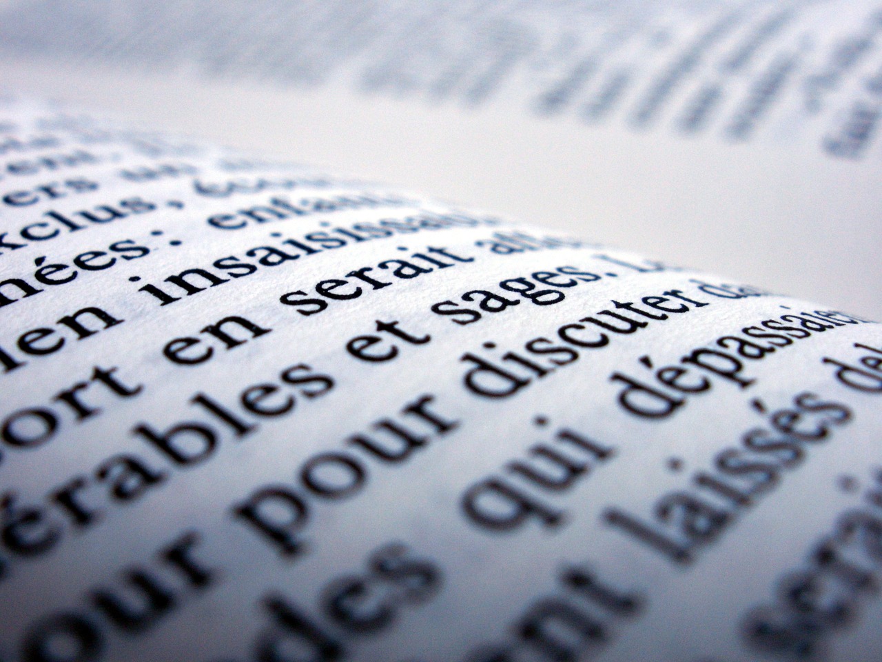 The Pollyanna Principle in French: A study of variable lexis