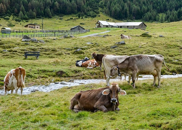 The reshaping of conventional farming: A North American perspective