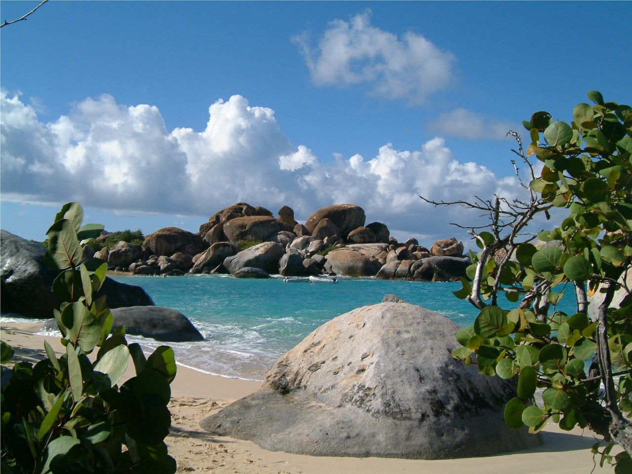 A fish story: rethinking globalization on Virgin Gorda, British Virgin Islands