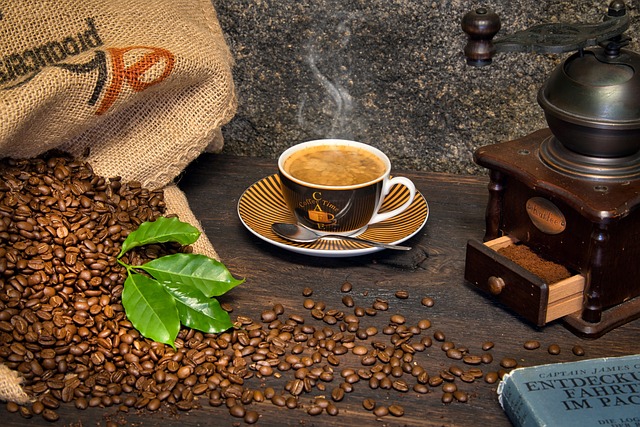 Noble goals and challenging terrain: Organic and fair trade coffee movements in the global marketpla