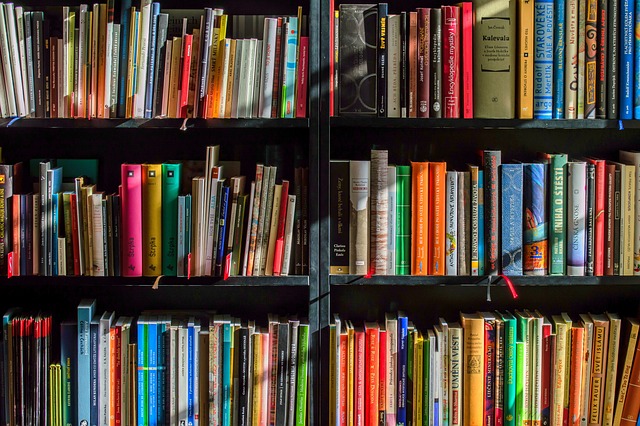Subversion or socialization? Humor and carnival in Morris Gleitzman's texts
