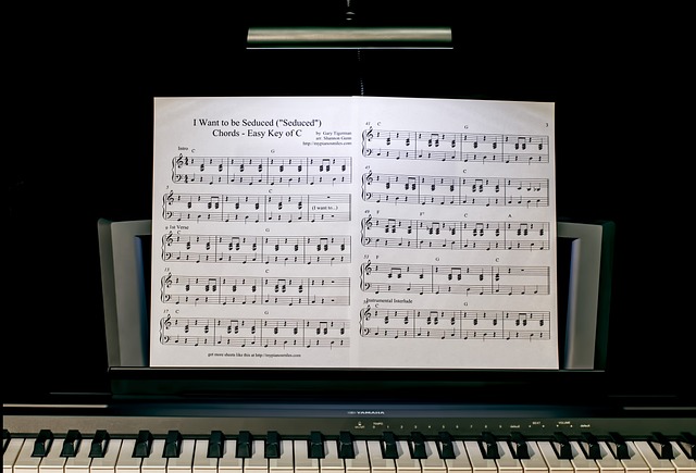 An fMRI study of music sight-reading