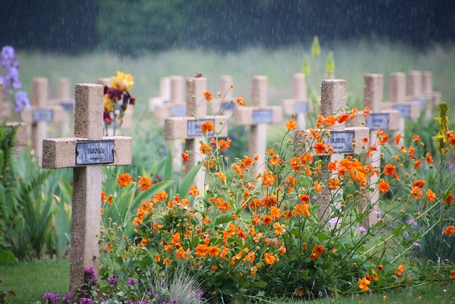 Excavating memories: Archaeology and the Great War, 1914-2001
