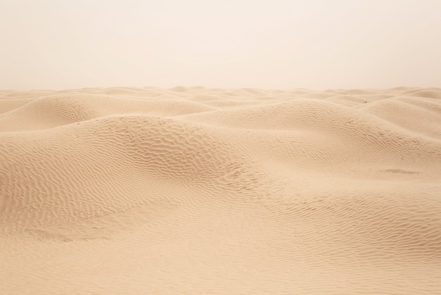 A tale of two deserts: Contrasting desertification histories on Rome's desert frontiers