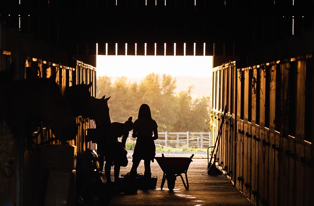 Economic hardship, religion and mental health during the midwestern farm crisis