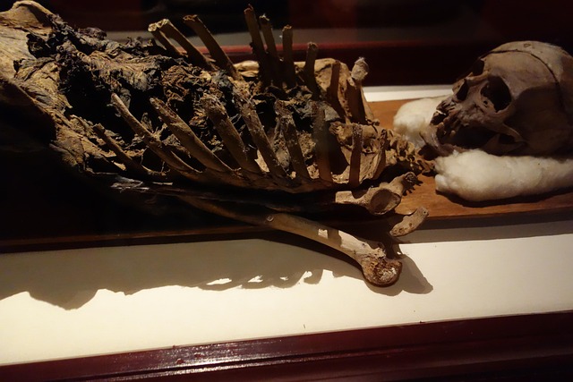 Archaeology in the service of the community: Repatriation of the remains of Notetha Bungu