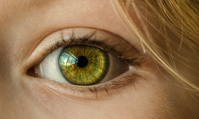 Eye movements and spoken language comprehension: Effects of visual context on syntactic ambiguity re