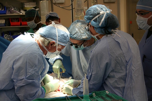 Transplantation: Biomedical and ethical concerns raised by the cloning and stem-cell debate
