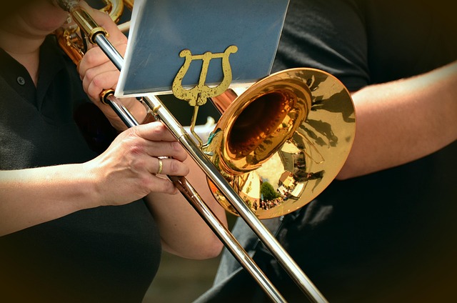 Pedagogical techniques and student outcomes in applied instrumental lessons taught by experienced an
