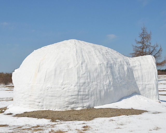 Space syntax analysis of Central Inuit snow houses